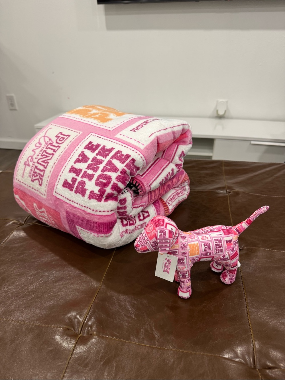 Victoria’s Secret PINK Blanket + Matching Mini Dog Limited Edition 2026 NEW